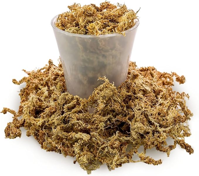 Premium New Zealand Sphagnum Moss - Organic Hand Mixed Long Fibered Sphagnum Moss Orchid - 5 Quart