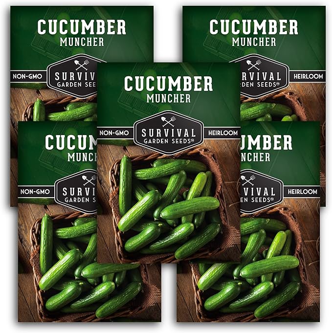 5 Packs Muncher Cucumber Seed for Planting - Packet with Instructions to Grow Burpless Slicing Cucumbers in Your Home Vegetable Garden - Non-GMO Heirloom Variety - Survival Garden Seeds