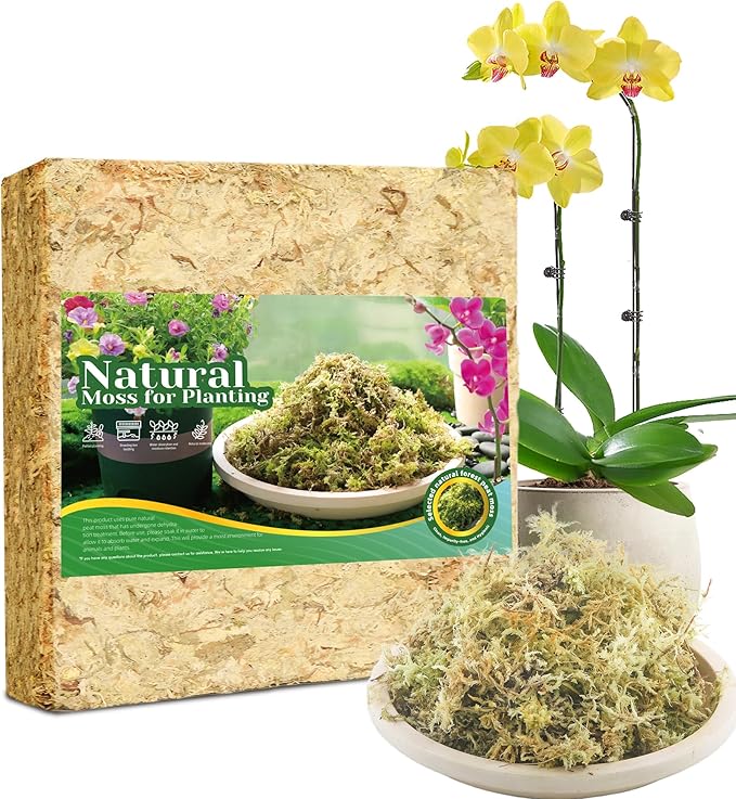2LB Sphagnum Moss for Plants Indoor, Premium Peat Moss for Reptiles Terrarium-40 Quarter, Natural Long Fiber Orchid Moss for Repotting Propagation Succulent Sarracenia Carnivorous Gardening