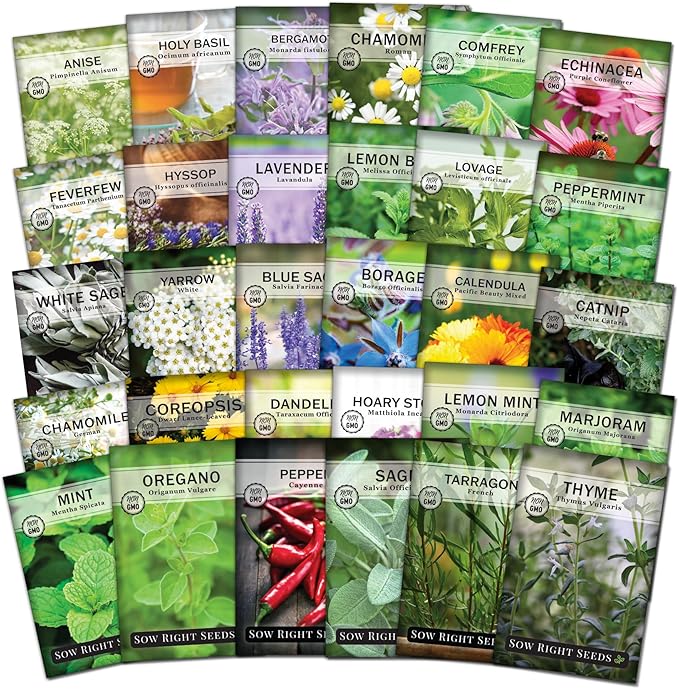 Sow Right Seeds - Extra Large Medicinal Herb Seed Collection for Planting - Lemon Balm, Lavender, Yarrow, Echinacea, Bergamot, Chamomile, Calendula, Mint & More - Non-GMO Heirloom, Home Remedies
