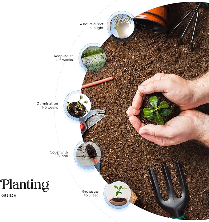 50 pcs Large Pink Hearts – Plantable Seed Paper for Weddings, Gifts, and Life Events (#17s)