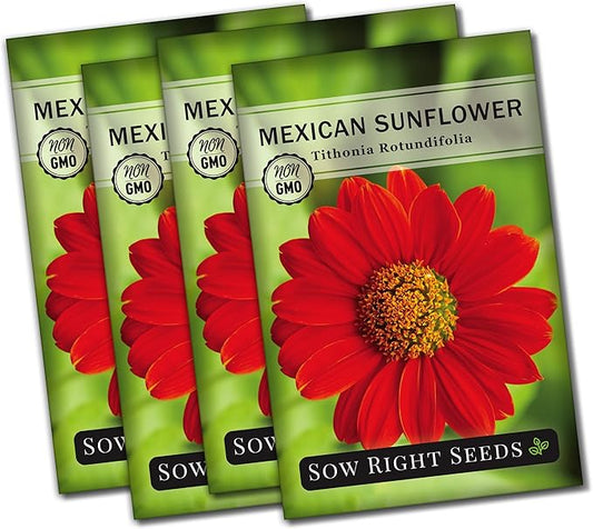 Sow Right Seeds - Mexican Sunflower Seeds for Planting - Non-GMO Heirloom Packet with Instructions for Growing - Bright Orange Blooms, Super Tall Stalks - Enjoys Outdoors or Indoors as Cut Flower (4)