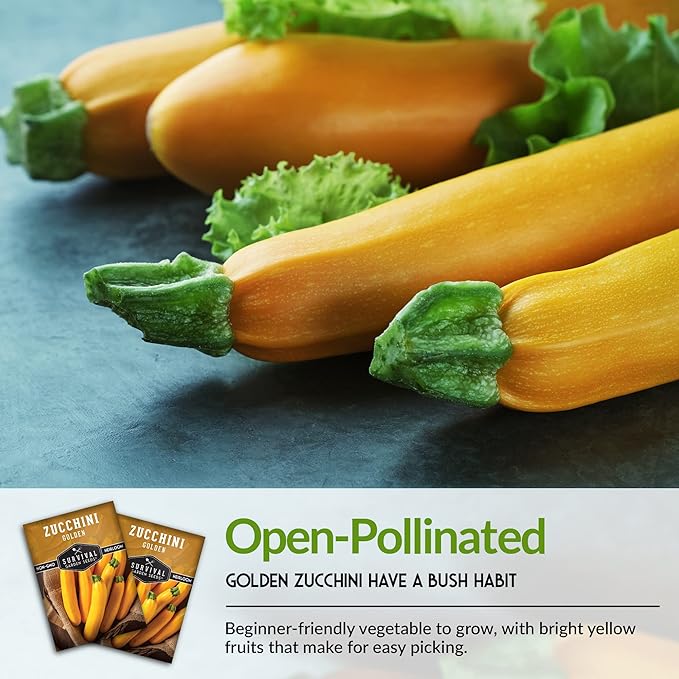Survival Garden Seeds - Golden Zucchini Seeds for Planting - Packet with Instructions to Plant & Grow Yellow Zucchini Vegetables in Your Home Vegetable Garden - Non-GMO Heirloom Variety Plant Seed