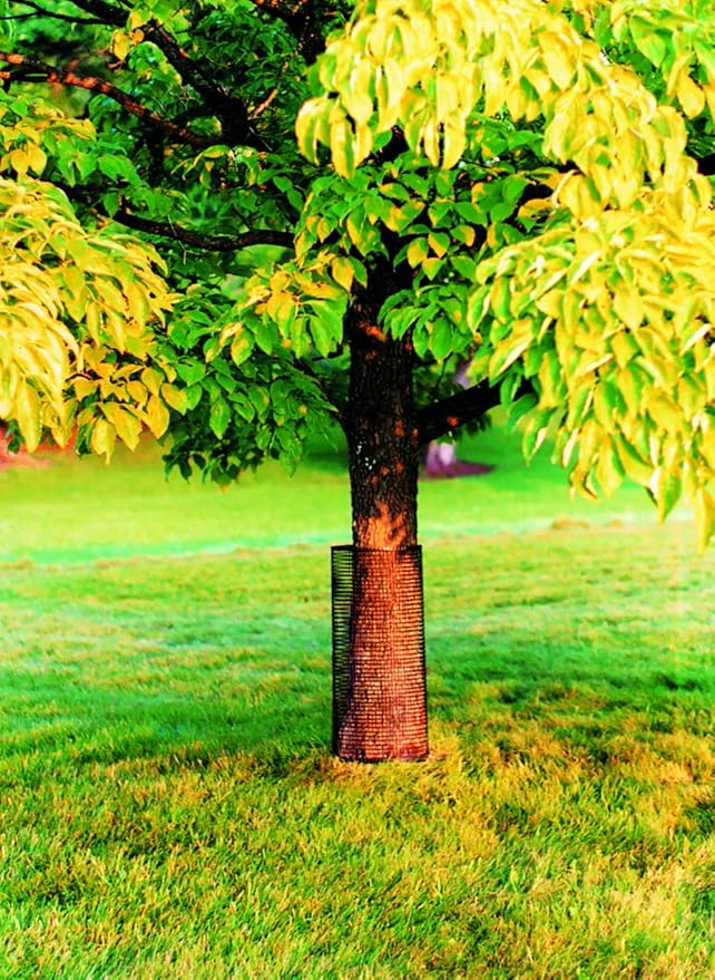 SuperMoss Orchid Sphagnum Moss and Tenax Hardware Net