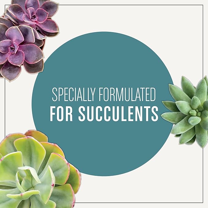 Miracle-Gro Succulent Potting Mix, For Indoor Succulents, Aloe Vera and More, Made with Miracle-Gro Plant Food, 4 qt