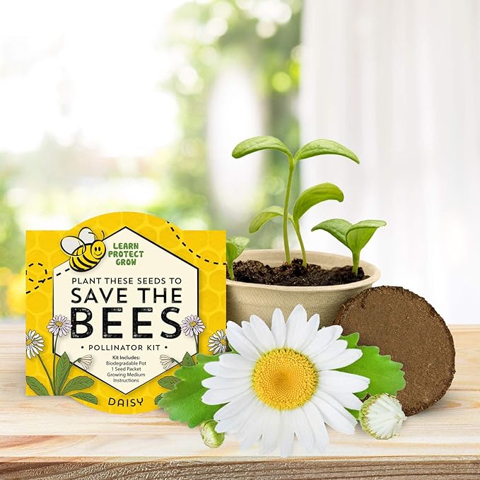 Buzzy Seeds Save The Bees Biodegradable Grow Kit | Herb, Plant, Flower Starter Kit for Kids & Adults | Assorted Wildflowers 12-Pack | Guaranteed to Grow | Best Indoor Grow Your Own Plant