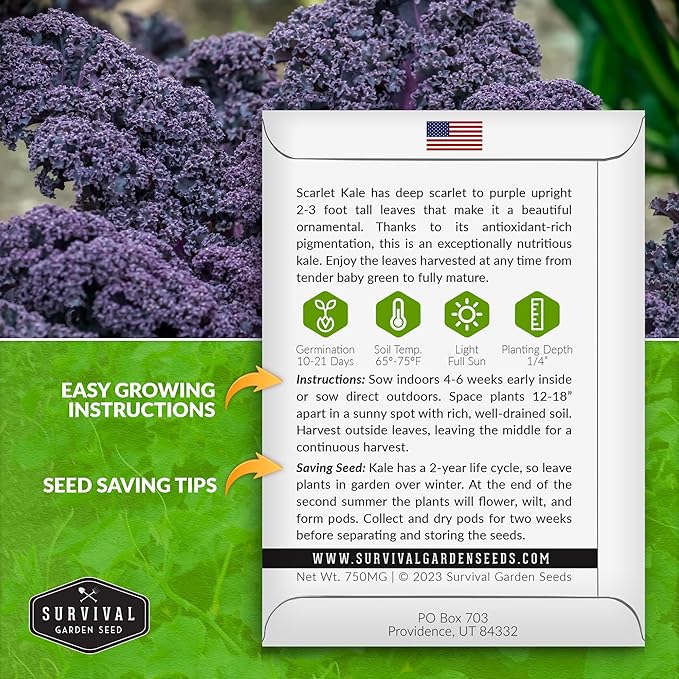 Survival Garden Seeds Scarlet Kale Seeds for Planting – 1 Packet with Instructions to Grow Edible & Ornamental Kale Vegetables in Your Home Food Garden – Non-GMO Heirloom Purple Kale Seeds