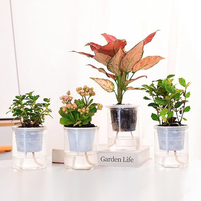 ORIMERC 30 feet 1/6 inch Self Watering Capillary Wick Cord Vacation Plant Sitter DIY Hydroponic Wicking Self-Watering Planter Pot Automatic Water System Device Potted Violet Auto Seedling Waterer Rope