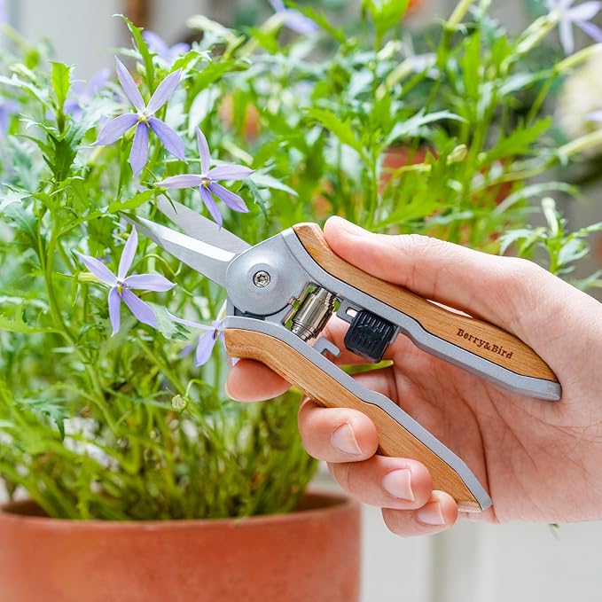 Berry&Bird Mini Pruning Shears for Gardening Straight Blades Hand Pruners with Wooden Handle Garden Scissors Snips Stainless Steel Trimming Small Clippers Bonsai Compact Size Shearing Tool