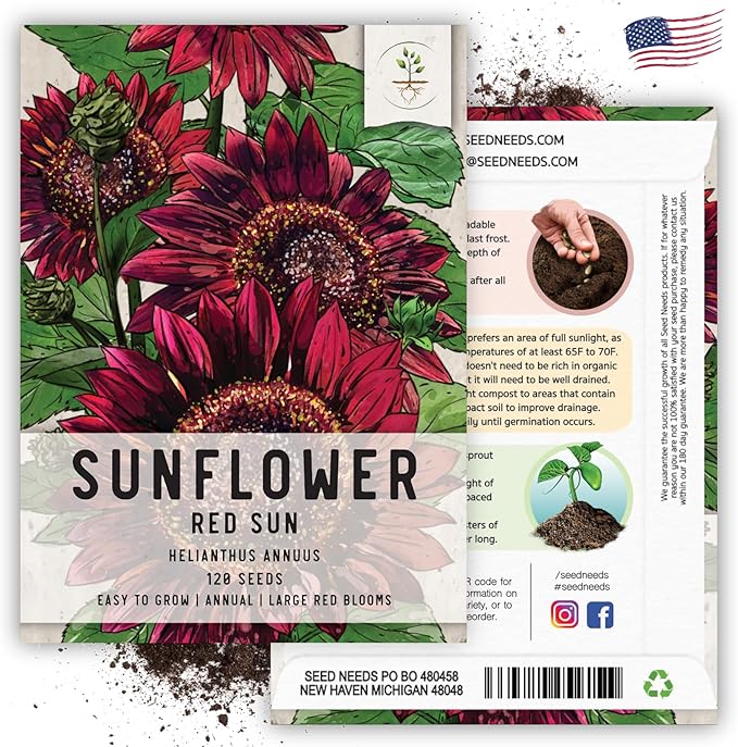 Seed Needs, Red Sun Sunflower Seeds - 120 Heirloom Seeds for Planting Helianthus annuus - Great Cut Flowers, Attracts Butterflies/Pollinators (2 Packs)