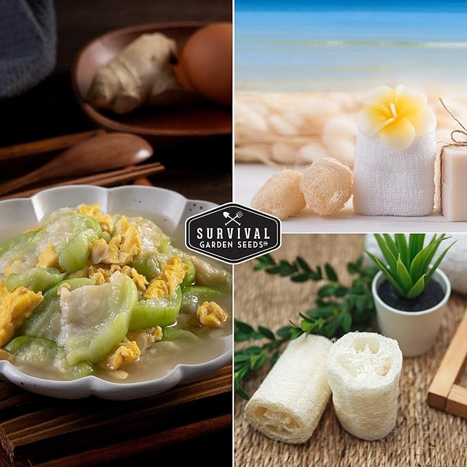 Survival Garden Seeds - Luffa or Loofah Seed for Planting - 5 Packets with Instructions to Plant and Grow Ornamental Gourds in Your Home Vegetable Garden - Non-GMO Heirloom Variety