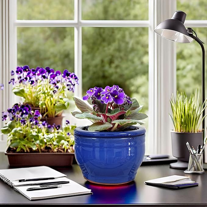 African Violet Pots Self Watering 6 inch Round Ceramic Violet Pot Blue