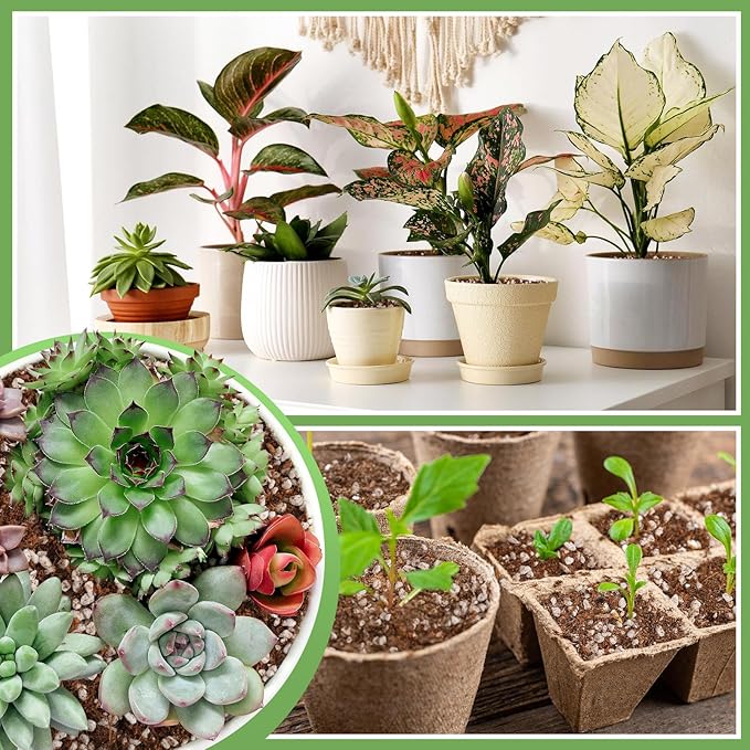 Coco Coir Perlite Mix - Retain Moisture, Improve Drainage & Aeration - Coco Peat Perlite Potting Mix, Loose Organic Potting Soil for Indoor Plants, 2 Quarts