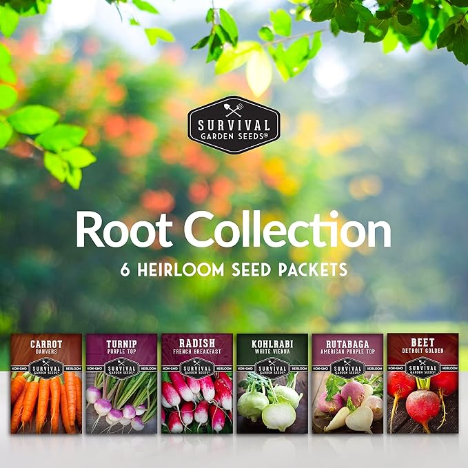 Survival Garden Seeds Root Vegetable Seed Collection - 6 Packs: Danvers Carrot, Purple Top Turnip, French Breakfast Radish, Kohlrabi, Rutabaga, Golden Beet - Non-GMO Heirloom Open-Pollinated Seeds