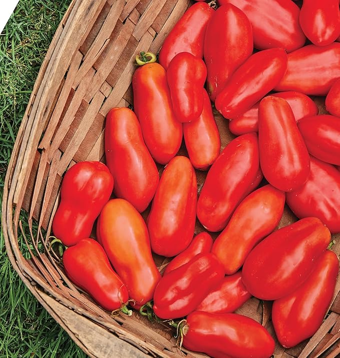 Burpee 'San Marzano' Heirloom, Paste Tomato, 75 Non-GMO Seeds