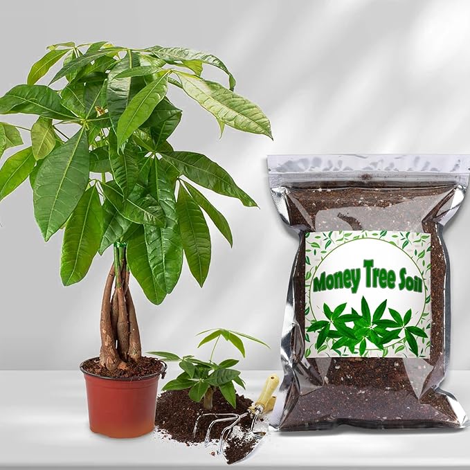 Organic Money Tree Soil Mix 4qt, Indoor Plants Potting Mix for All Potted Money Tree, Grow Healthy houseplants Indoors