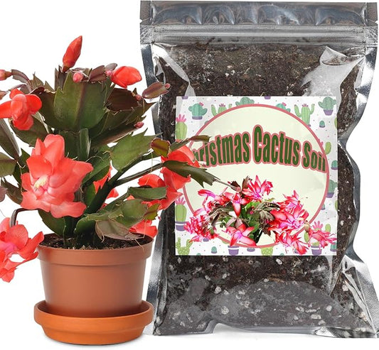 Christmas Cactus Potting Soil Mix 4qt, Ideal for Succulents, Christmas Cacti, and Other Indoor Potted Plantings