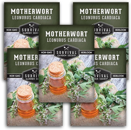 Motherwort Seed for Planting - 5 Packets with Instructions to Plant and Grow Lion's Tail Medicinal Herbs in Your Home Herb Garden - Non-GMO Heirloom Variety - Survival Garden Seeds