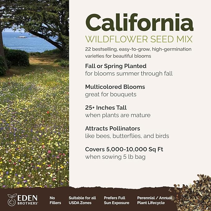 Eden Brothers California Wildflower Mixed Seeds for Planting, 5 lb, 2,400,000+ Seeds with Black Eyed Susan, Shasta Daisy | Attracts Pollinators, Plant in Spring or Fall, Zones 3, 4, 5, 6, 7, 8, 9, 10