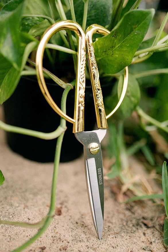 Premium Houseplant Scissors and Pruning Shears by Houseplant Resource Center | Ergonomic, Sharp & Durable Garden Clippers for Plant Care - 100% Stainless Steel Construction
