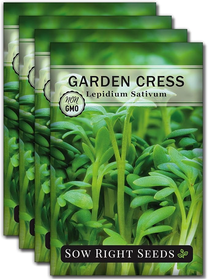 Sow Right Seeds - Garden Cress Seeds for Planting - Non-GMO Heirloom Packet with Instructions to Plant and Grow a Kitchen Herb Garden - Indoors or Outdoors - Edible Leaves and Cute Filler (4)