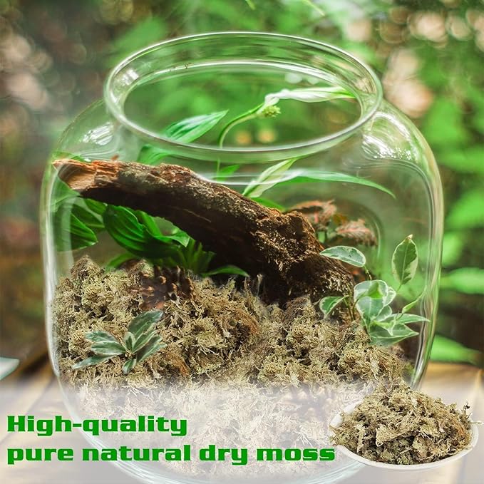 Halatool Sphagnum Moss, 3OZ(4QT) Natural Sphagnum Moss for Plants, Premium Long Fiber Dried Sphagnum Peat Orchid Moss for Repotting Carnivorous Succulents Garden Flowers Terrarium and Reptiles