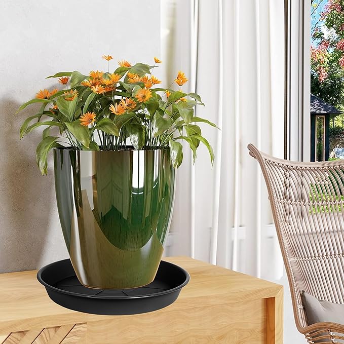 6 Pack of Plant Saucer Tray 4 6 8 10 12 14 17 19 22 25 inch, Heavy Duty Plastic Pot Plant Drip Trays Saucers for for Indoors Outdoor, Plant Water Tray for Planters 4-7" (6", Black)