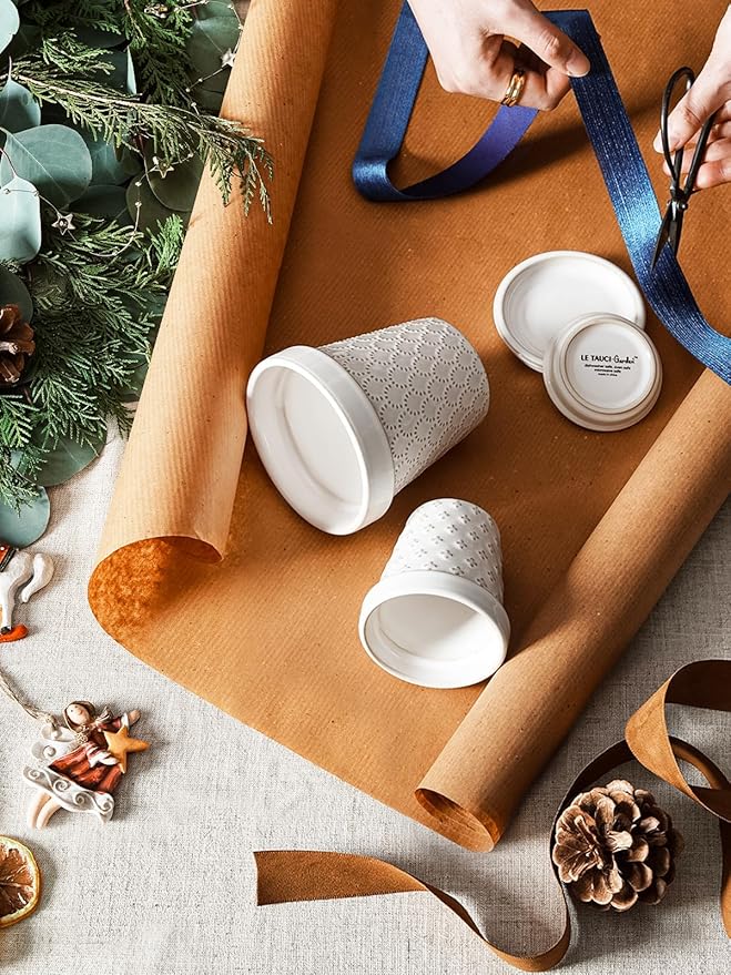 LE TAUCI Succulent Pots, Cute Indoor Plant Pot with Saucer, 3 Inch Mini Ceramic Flower Pots with Drainage, for Plant Lover or Mothers Day,Housewarming, Decorative Lovely Planter for Cactus,Set of 4