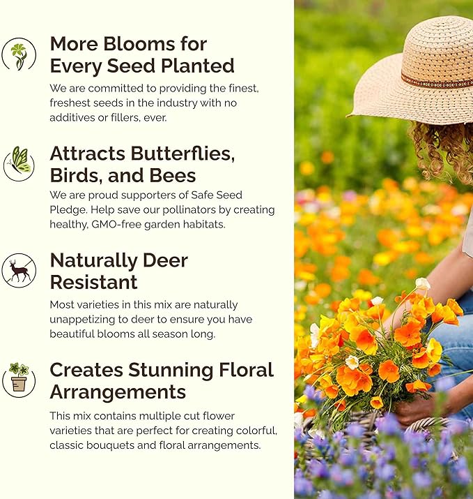 Eden Brothers Wyoming Wildflower Mixed Seeds for Planting, 1 oz, 30,000+ Seeds with Cornflower, Yarrow | Attracts Pollinators, Plant in Spring or Fall, Zones