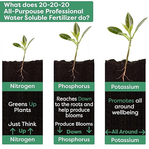 20-20-20 Water-Soluble Fertilizer – Powder for Liquid Plant Food for Indoor & Outdoor Plants, Orchids, Vegetables, Lawns, Flowers – 20 20 20 Fertilizer (8 oz)