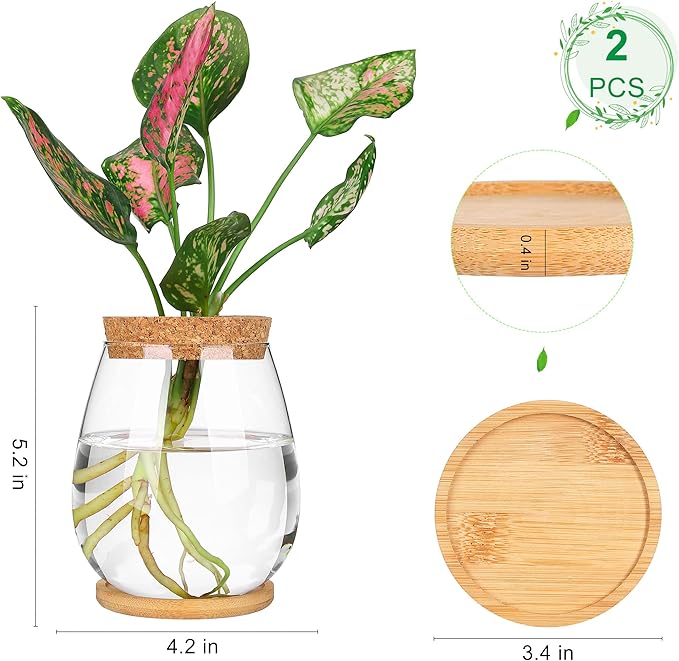 Propagation Stations, 2 Pcs Glass Planters with Wooden Tray & Lid, 5.2x4.2 inches, for Hydroponic Plants, Home Decor, Gardening Gifts for Women