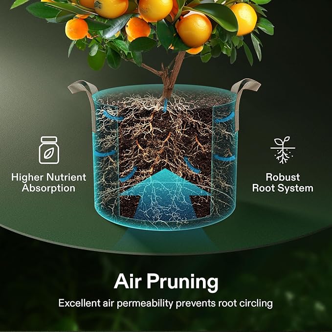 VIVOSUN 5-Pack 10 Gallons Grow Bags Heavy Duty Thickened Nonwoven Fabric Pots with Strap Handles Tan