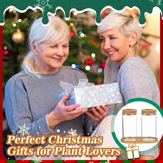 Plants Propagation Station - 2Pcs Desktop Plant Terrarium Glass Hydroponic Vases, Water Plant Propagating Jars, Gardening Gifts for Women Mom Plant Lovers (Thin Straight Shape, Conjoined Tray Style)