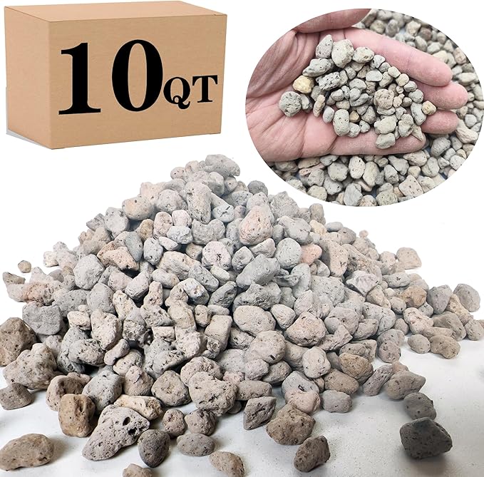 Garden Pumice Rock Horticultural Cactus Bonsai Succulent Soil Additive for Plants, Landscaping, Vase Fillers (3/8 inch, 10 QT)