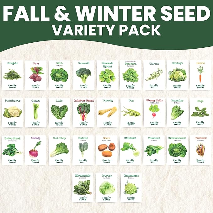 Fall & Winter Seed Variety Pack | 30 Invidiual Packs | 2025 Season | Non-GMO | Beets, Arugula, Carrots, Lettuce & More! | for Planting Indoor & Outdoor | by Family Sown