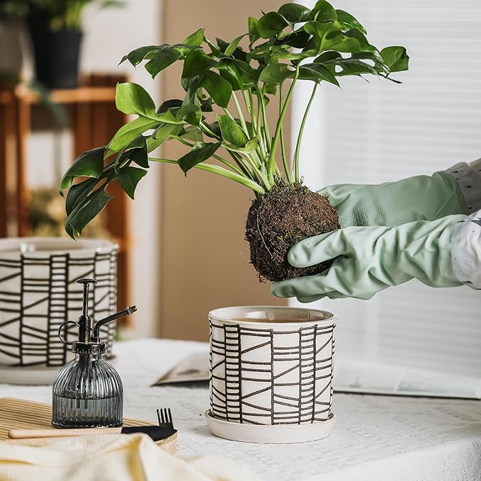6 Inch Plant Pot: Ceramic Planter with Drainage Hole & Saucer for Indoor Outdoor Plants - Flowerpot with Bonded Tray for Home Office - Stripe Debossed