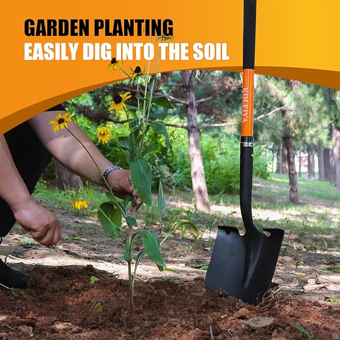 Shovel for Digging,Heavy Duty Garden Shovel,Shovels for Gardening Digging,Spade Shovel with Orange Fiberglass Handle,57 inches