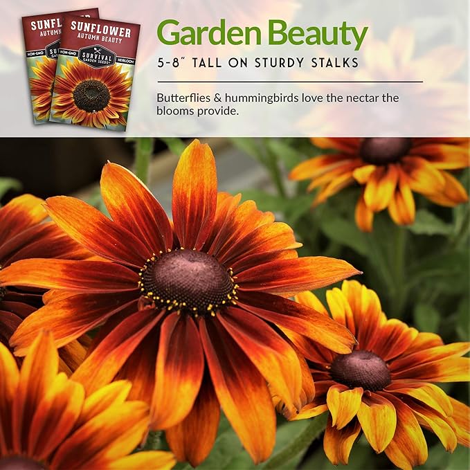Survival Garden Seeds - Autumn Beauty Sunflower Seed for Planting - Packet with Instructions to Plant and Grow Beautiful and Colorful Flowers in Your Home Vegetable Garden - Non-GMO Heirloom Variety