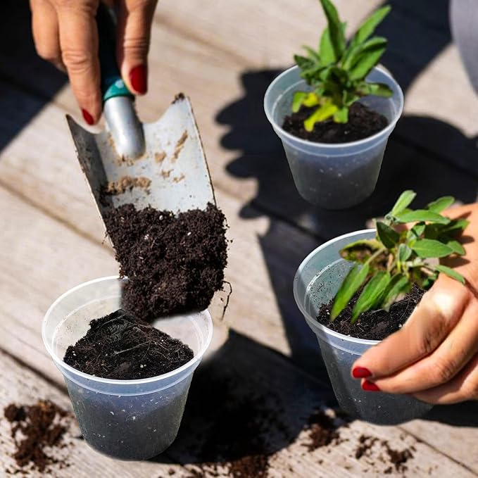 Hourleey 36 Pack 4/5/6/7 Inch Clear Nursery Pots for Plants, Plant Pots with Drainage Holes, Transparent Seedling Pots for Seed Starters Planter Flower