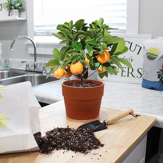 Citrus Tree Potting Soil Mix (30 Quarts), Special Blend for Indoor Oranges, Lemons, Limes and More