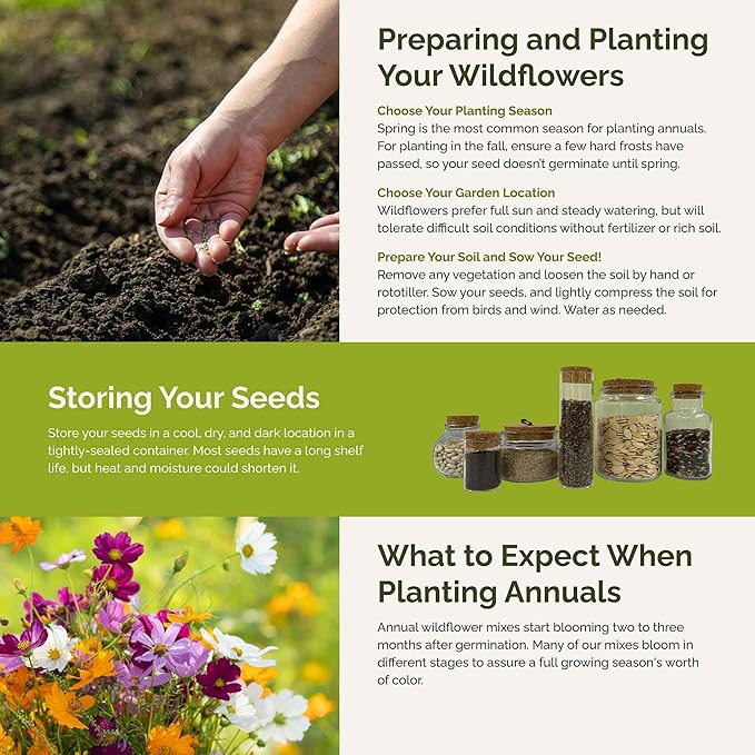 Eden Brothers All Annual Wildflower Mixed Seeds for Planting, 1/4 lb, 120,000+ Seeds with Sunflower, Indian Blanket, Scarlet Flax | Attracts Pollinators, Plant in Spring, Zones 3, 4, 5, 6, 7, 8, 9, 10