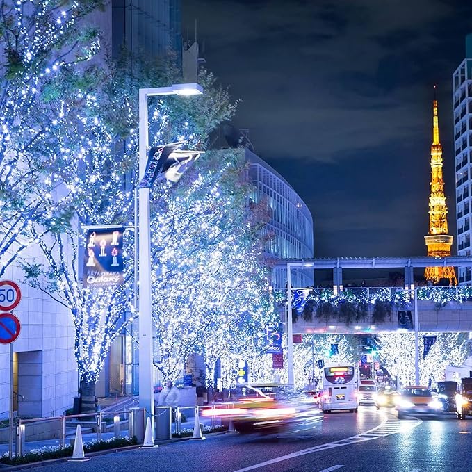 FUNPENY 164FT 500 LED Christmas Indoor Outdoor Decorative String Lights, 8 Modes Waterproof Plug in Green Wire LED Fairy Light for Christmas Party Wedding Garden Home Decoration (White)