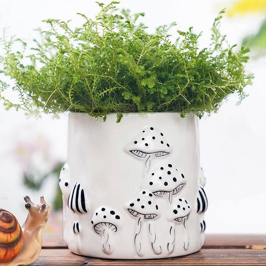 5 Inch Plant Pots Indoor, Unique Ceramic Pots for Plants with Drainage Hole, Cute Flower Pots for Indoor Plants, White Mushroom Planter Modern Decorative for Home Patio Garden