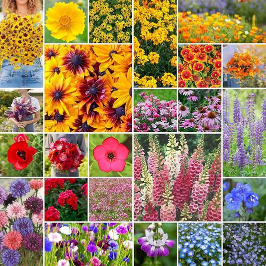 Eden Brothers Pacific Northwest Wildflower Mixed Seeds for Planting, 1 lb, 480,000+ Seeds with Cornflower, CA Bluebell | Attracts Pollinators, Plant in Spring or Fall, Zones 3, 4, 5, 6, 7, 8, 9, 10