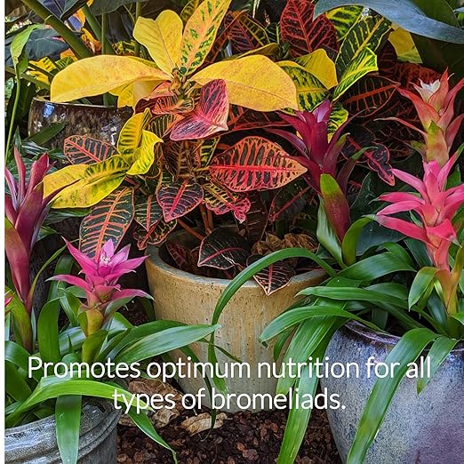 Professional Liquid Bromeliad Plant Fertilizer | 3-1-2 Concentrate for Plants and Flowers | Multi-Purpose Blend & Gardening Supplies | 8 oz Bottle