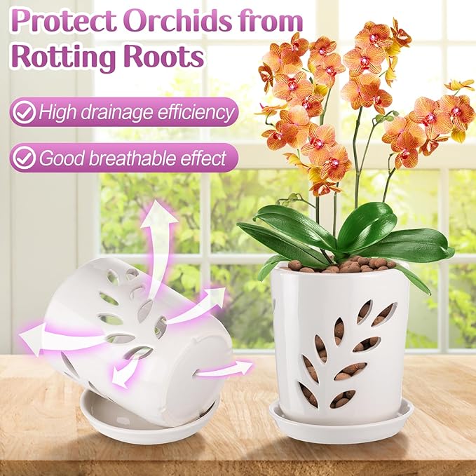 Aulock 4in Ceramic Orchid Pot with Holes - Decorative Orchid Pot Leaf Hollow with Saucer, Excellent Air Circulation, for Dendrobium Oncidium Cattleya Repotting Indoor Outdoor