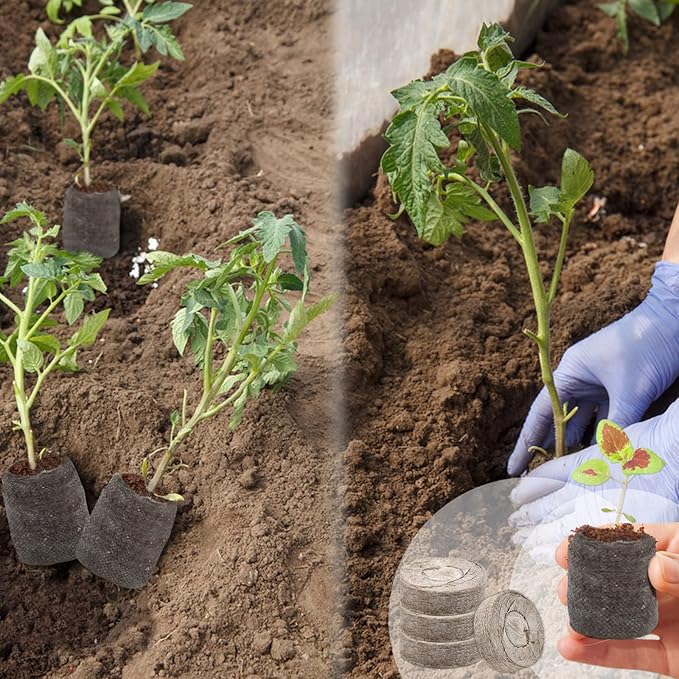 ZeeDix 500 Pcs (30mm) Peat Pellet Fiber Soil Plant Seed Starters - Seed Starter Pellets Pods Compressed Peat Pellets for Grow Herbs, Plant, Flowers and Vegetables