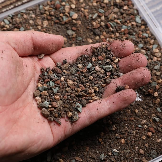 Succulent and Cactus Soil Potting Mix 1.1 LBS, Bonsai Soil Mix Ready to Use, Fast Draining with Added Nutrients