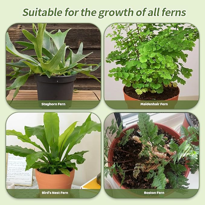 Potting Soil Mix for Fern 1qt, Custom Hand Blended Mixture Suitable for Indoor/Outdoor Potted Fern Plant