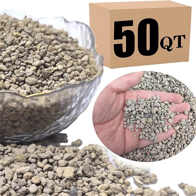 Horticultural Pumice for Plants Professional Sifted (50 QT, 1/4 inch)